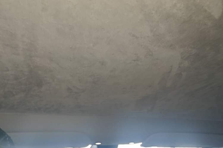 Used Tesla Model Y 2022 Rear-Wheel-Drive Version Headliner