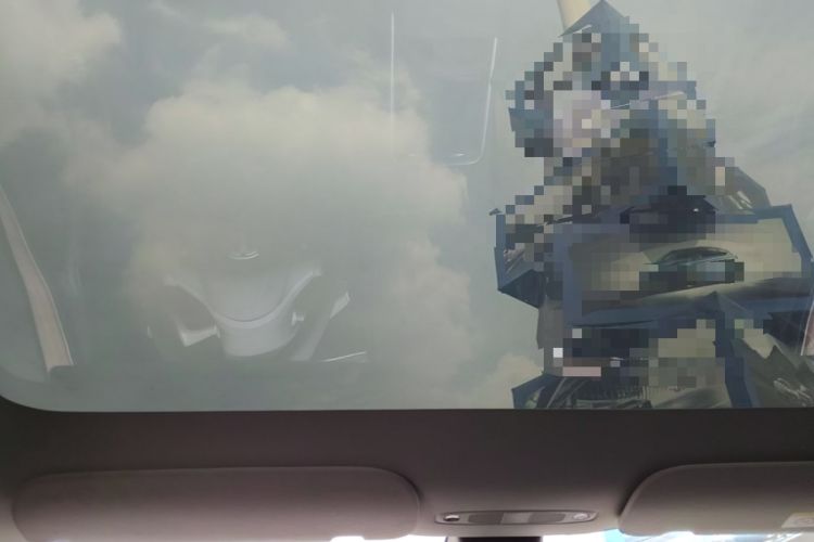 Used Tesla Model Y 2022 Rear-Wheel-Drive Version Headliner