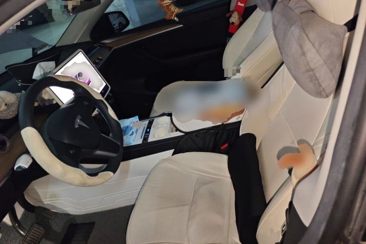 Used Tesla Model Y 2022 Revised Version Rear-Wheel Drive Left Front Seat