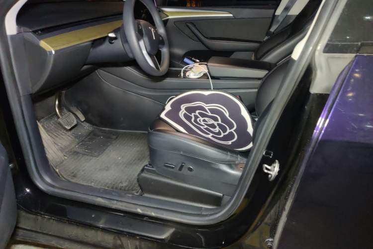 Used Tesla Model Y 2022 Revised Version Rear-Wheel Drive Left Front Seat