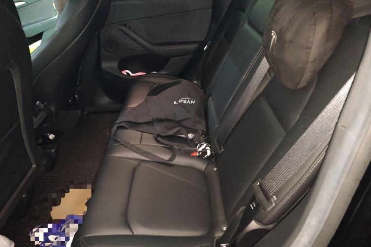 Used Tesla Model Y 2022 Rear-Wheel-Drive Version Left Rear Seat