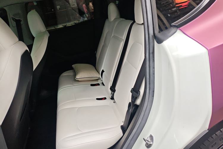 Used Tesla Model Y 2022 Performance High-Performance All-Wheel-Drive Version Left Rear Seat