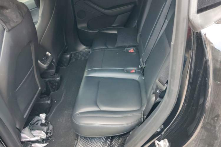 Used Tesla Model Y 2022 Rear-Wheel-Drive Version Left Rear Seat