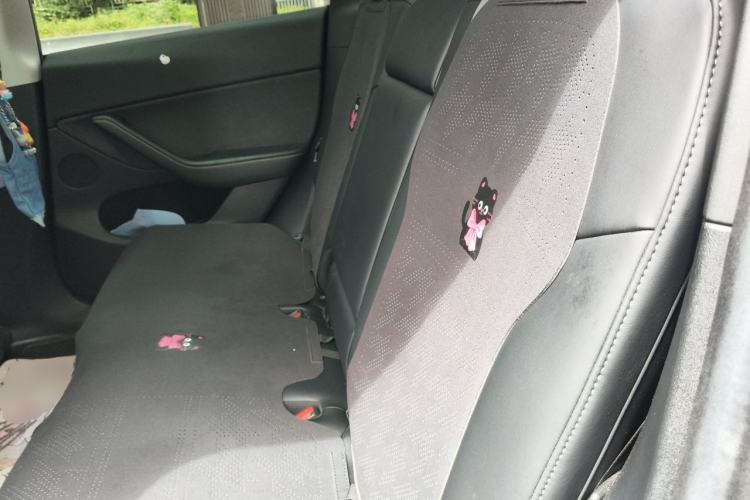 Used Tesla Model Y 2022 Revised Version Rear-Wheel Drive Left Rear Seat