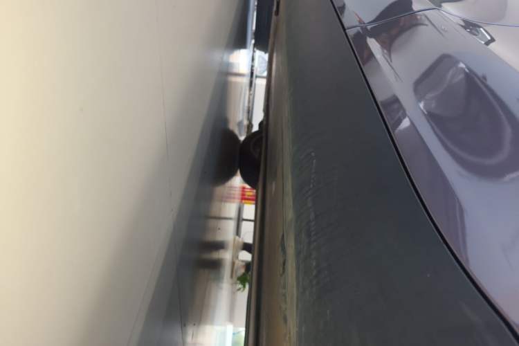 Used Tesla Model Y 2022 Revised Version Rear-Wheel Drive Left Side Sill