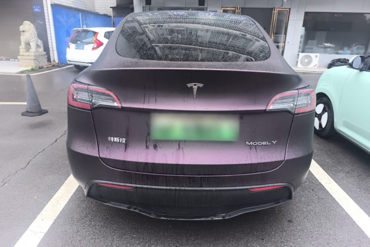 Used Tesla Model Y 2022 Rear-Wheel-Drive Version Rear
