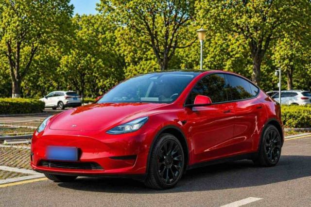 Tesla Model Y 2022 Revised Version Rear-Wheel Drive de segunda mano