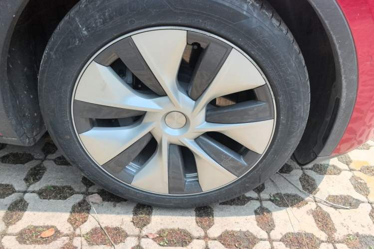 Used Tesla Model Y 2022 Rear-Wheel-Drive Version Exterior 1