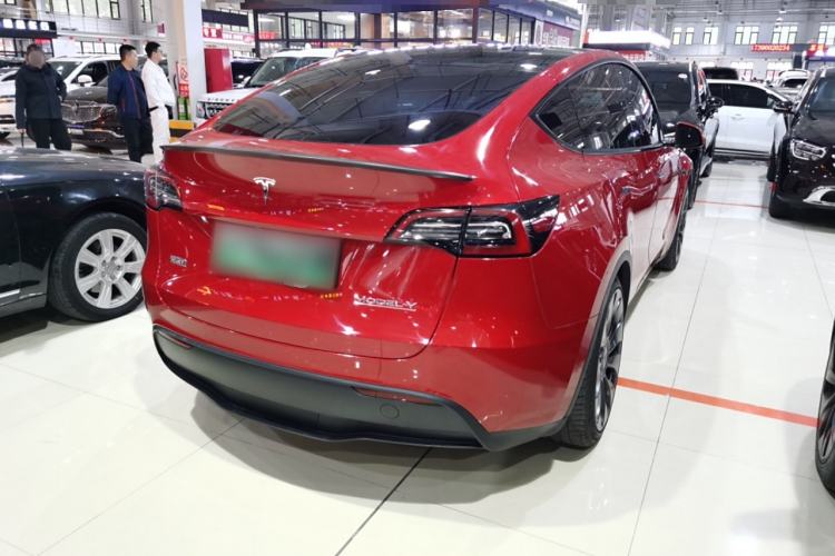 Used Tesla Model Y 2022 Performance High-Performance All-Wheel-Drive Version Exterior 7