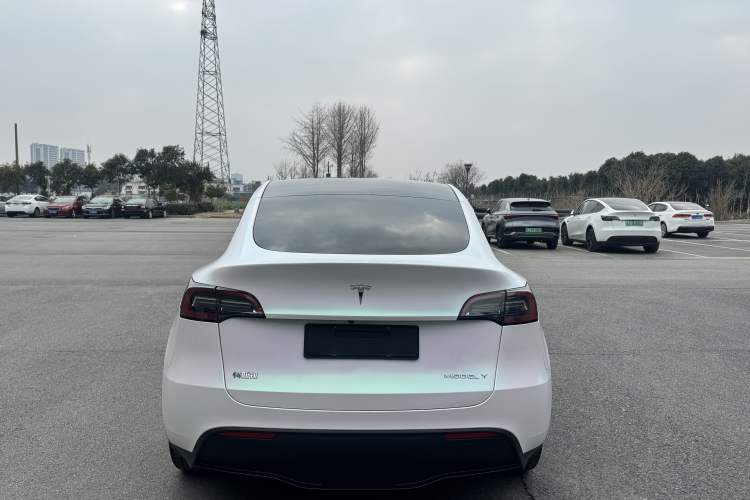 Used Tesla Model Y 2022 Revised Version Rear-Wheel Drive Exterior 8