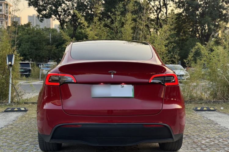 Used Tesla Model Y 2022 Revised Version Long-Range All-Wheel Drive Exterior 8
