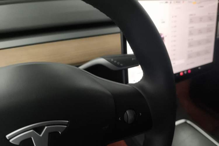 Used Tesla Model Y 2022 Revised Version Rear-Wheel Drive Gear Lever