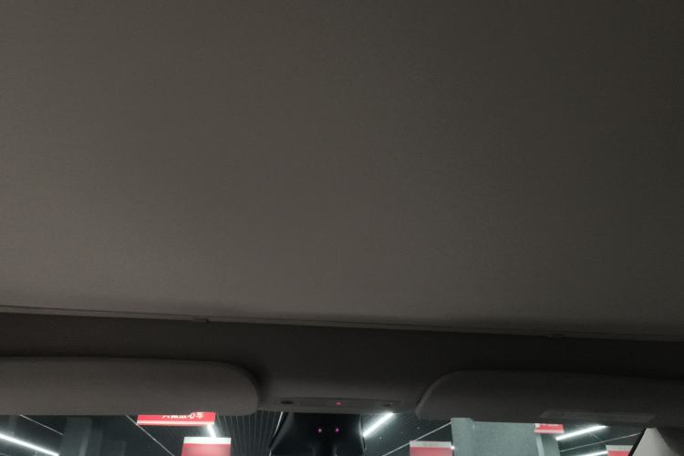 Used Tesla Model Y 2022 Revised Version Rear-Wheel Drive Headliner