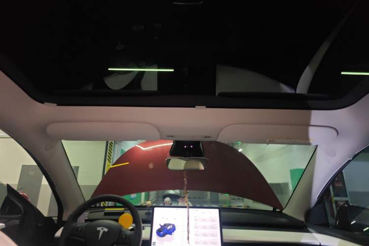 Used Tesla Model Y 2022 Performance High-Performance All-Wheel-Drive Version Headliner