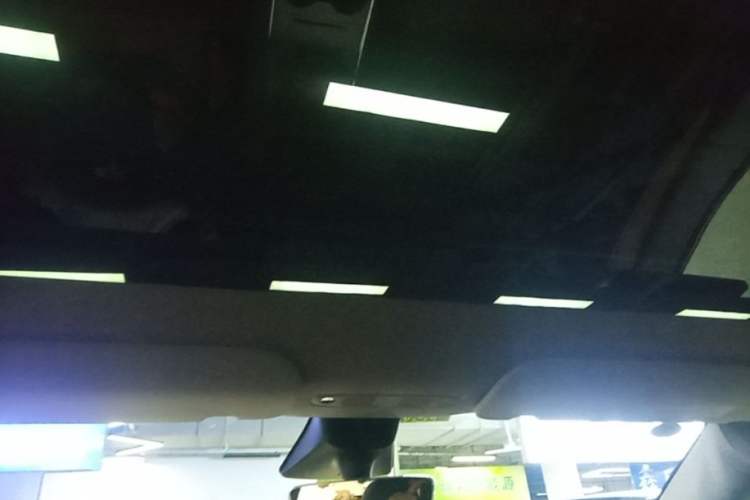 Used Tesla Model Y 2022 Rear-Wheel-Drive Version Headliner