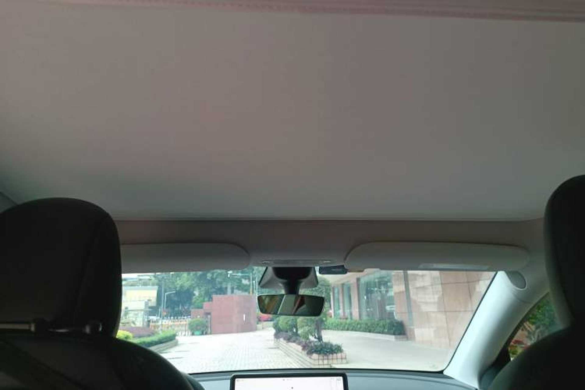Used Tesla Model Y 2022 Long-Range All-Wheel-Drive Version Headliner