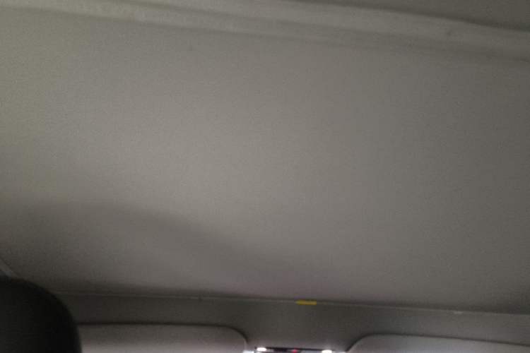 Used Tesla Model Y 2022 Revised Version Rear-Wheel Drive Headliner