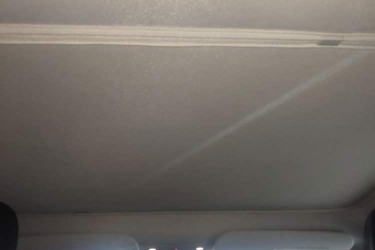 Used Tesla Model Y 2022 Rear-Wheel-Drive Version Headliner