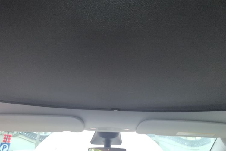 Used Tesla Model Y 2022 Rear-Wheel-Drive Version Headliner