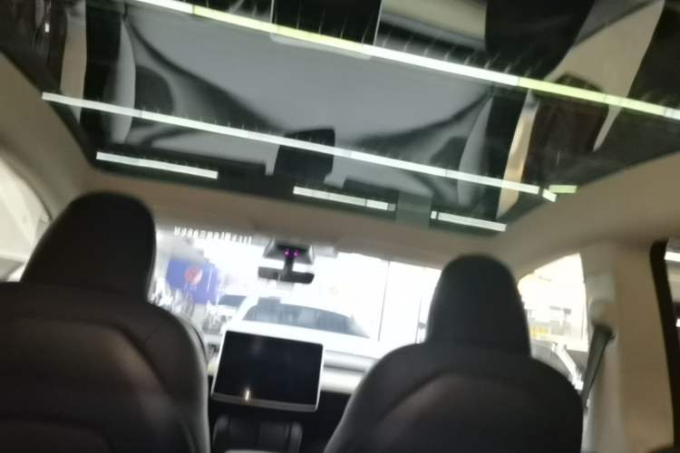 Used Tesla Model Y 2022 Revised Version Rear-Wheel Drive Headliner