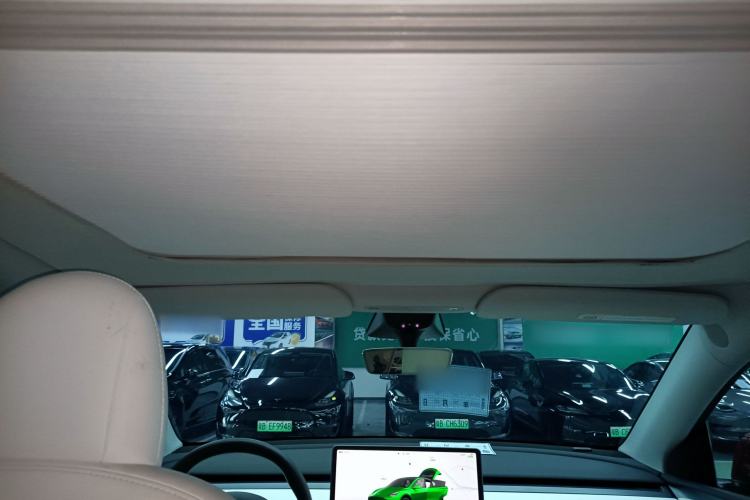 Used Tesla Model Y 2022 Long-Range All-Wheel-Drive Version Headliner