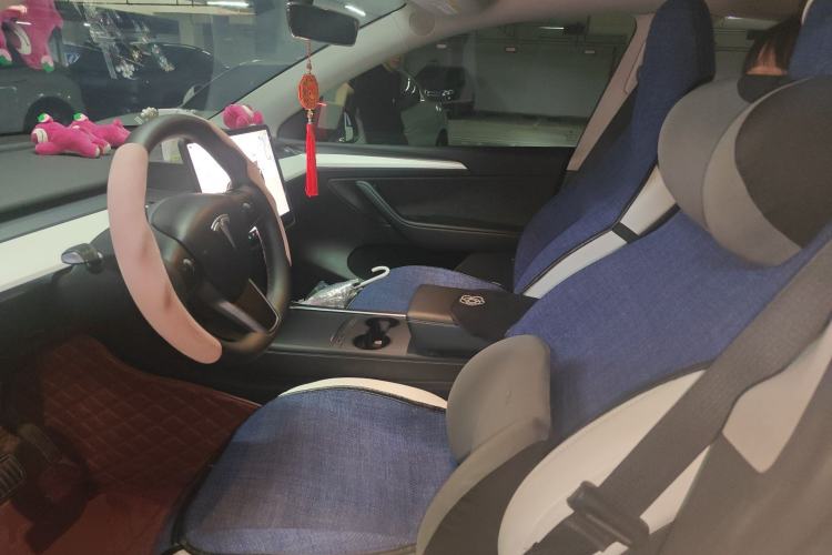 Used Tesla Model Y 2022 Revised Version Rear-Wheel Drive Left Front Seat