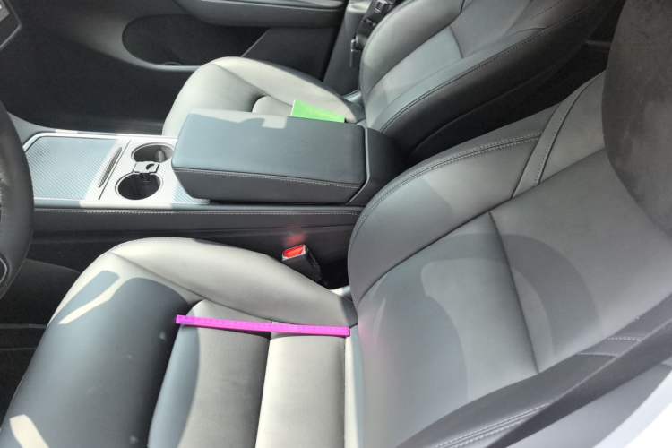 Used Tesla Model Y 2022 Rear-Wheel-Drive Version Left Front Seat