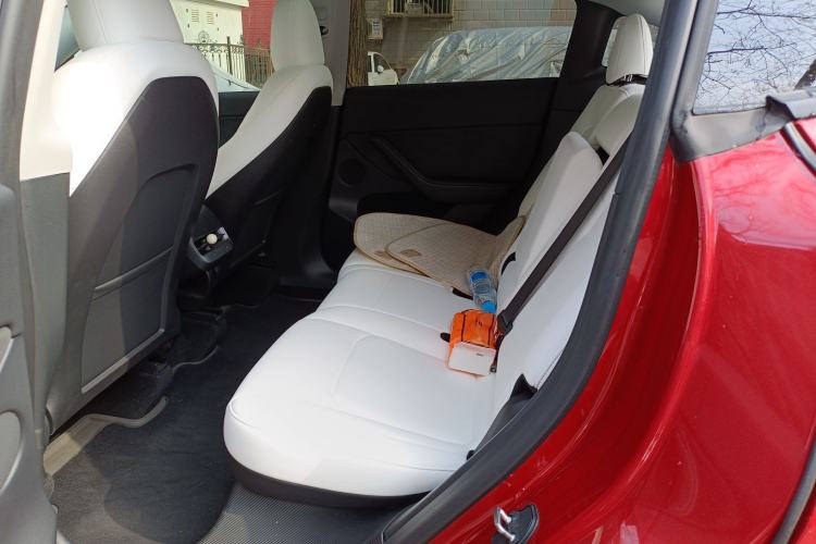 Used Tesla Model Y 2022 Revised Version Rear-Wheel Drive Left Rear Seat