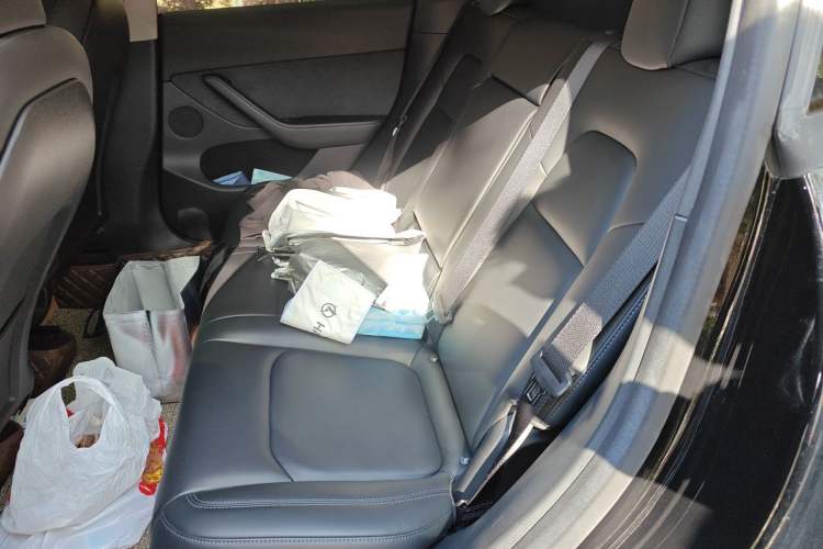 Used Tesla Model Y 2022 Rear-Wheel-Drive Version Left Rear Seat