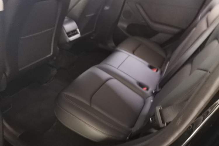 Used Tesla Model Y 2022 Revised Version Rear-Wheel Drive Left Rear Seat
