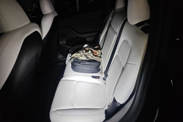 Used Tesla Model Y 2022 Performance High-Performance All-Wheel-Drive Version Left Rear Seat