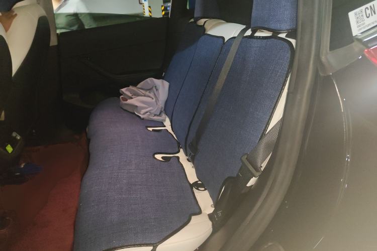 Used Tesla Model Y 2022 Revised Version Rear-Wheel Drive Left Rear Seat