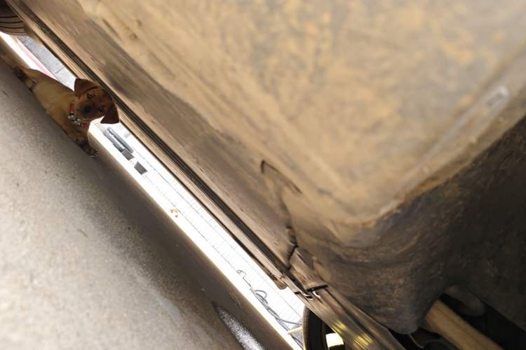 Used Tesla Model Y 2022 Performance High-Performance All-Wheel-Drive Version Chassis Front Right