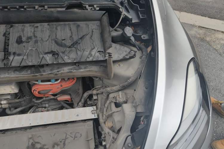 Used Tesla Model Y 2022 Long-Range All-Wheel-Drive Version Engine Bay Left