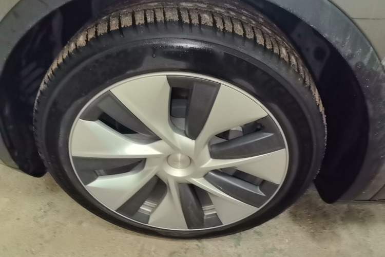 Used Tesla Model Y 2022 Rear-Wheel-Drive Version Exterior 2