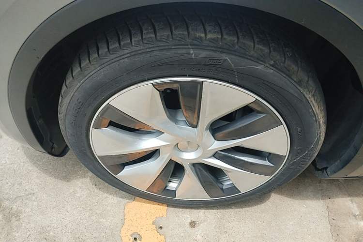Used Tesla Model Y 2022 Rear-Wheel-Drive Version Exterior 4