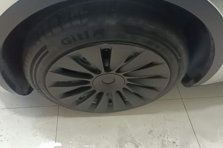 Used Tesla Model Y 2022 Rear-Wheel-Drive Version Exterior 4