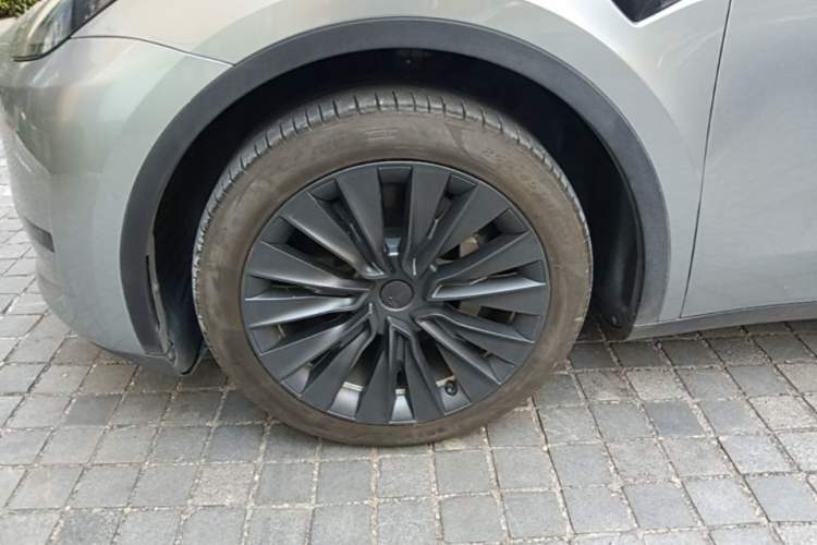 Used Tesla Model Y 2022 Revised Version Rear-Wheel Drive Exterior 4