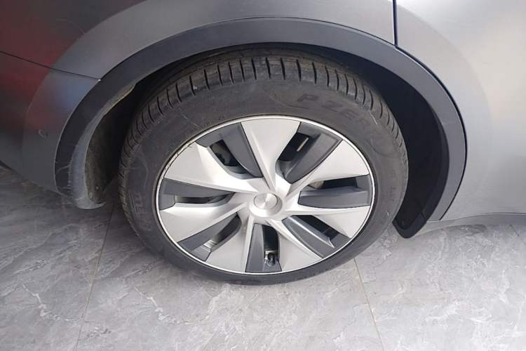 Used Tesla Model Y 2022 Rear-Wheel-Drive Version Exterior 5