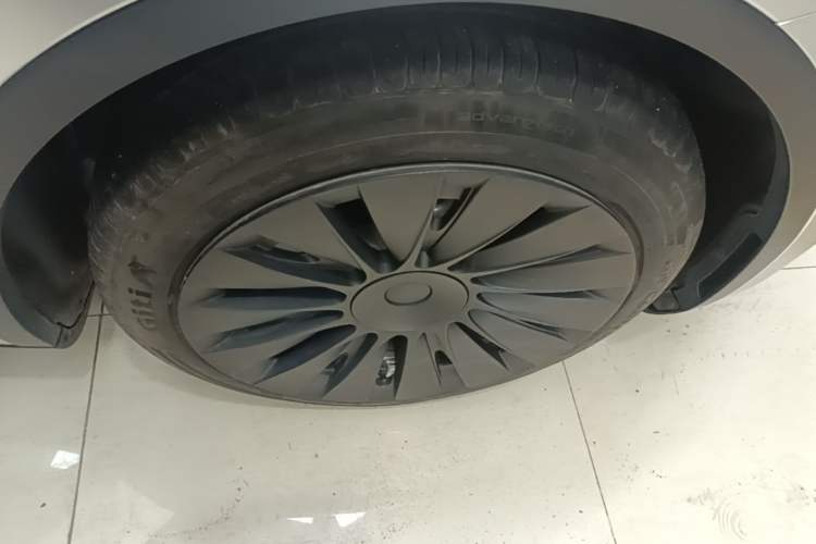 Used Tesla Model Y 2022 Rear-Wheel-Drive Version Exterior 5