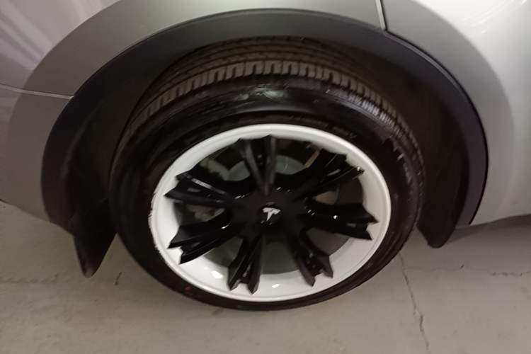 Used Tesla Model Y 2022 Revised Version Rear-Wheel Drive Exterior 5