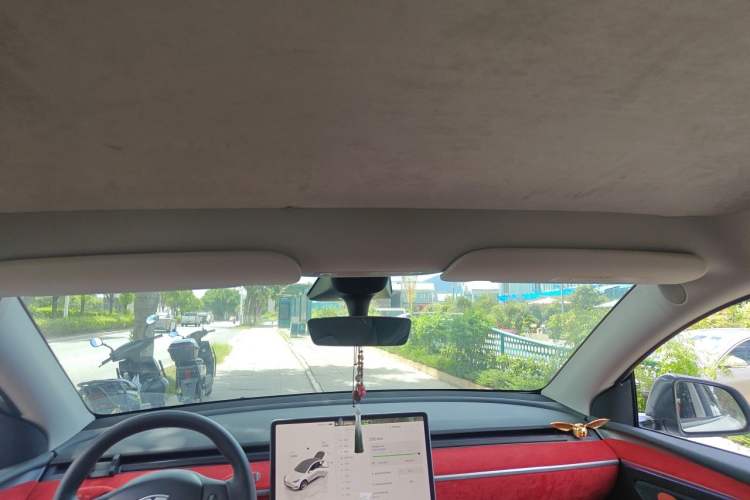 Used Tesla Model Y 2022 Rear-Wheel-Drive Version Headliner
