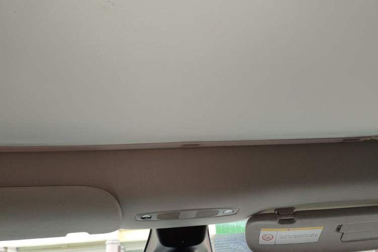 Used Tesla Model Y 2022 Rear-Wheel-Drive Version Headliner