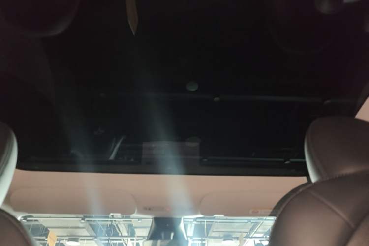 Used Tesla Model Y 2022 Revised Version Rear-Wheel Drive Headliner