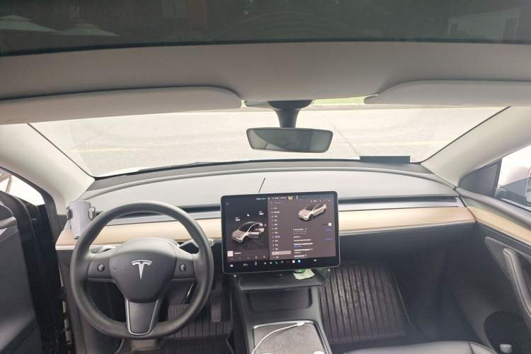 Used Tesla Model Y 2022 Long-Range All-Wheel-Drive Version Headliner