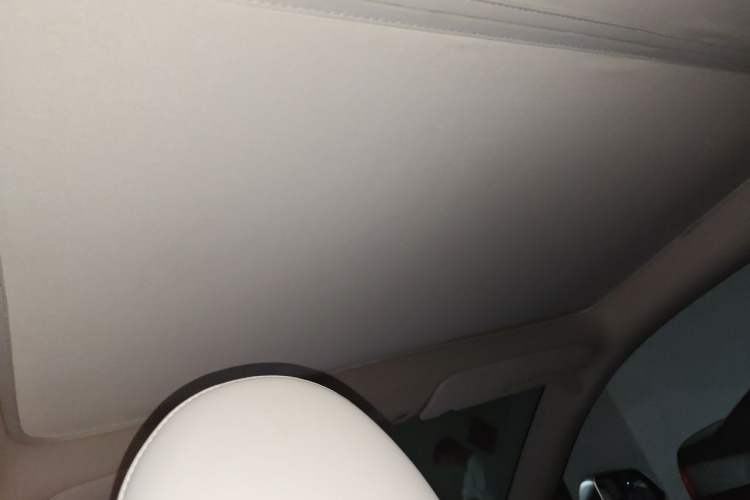 Used Tesla Model Y 2022 Revised Version Rear-Wheel Drive Headliner