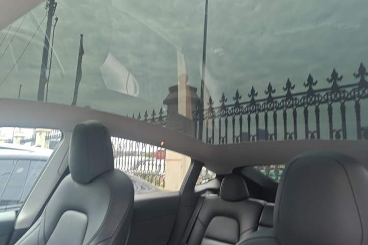 Used Tesla Model Y 2022 Long-Range All-Wheel-Drive Version Headliner