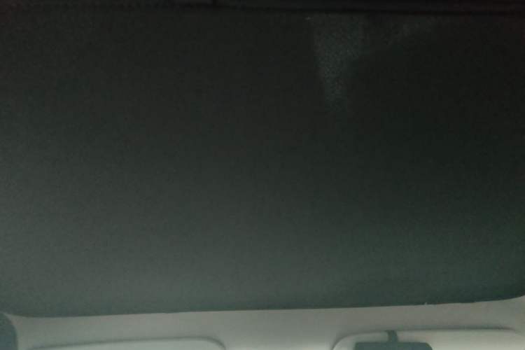 Used Tesla Model Y 2022 Long-Range All-Wheel-Drive Version Headliner