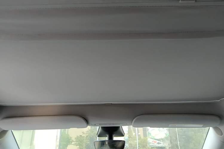 Used Tesla Model Y 2022 Revised Version Rear-Wheel Drive Headliner