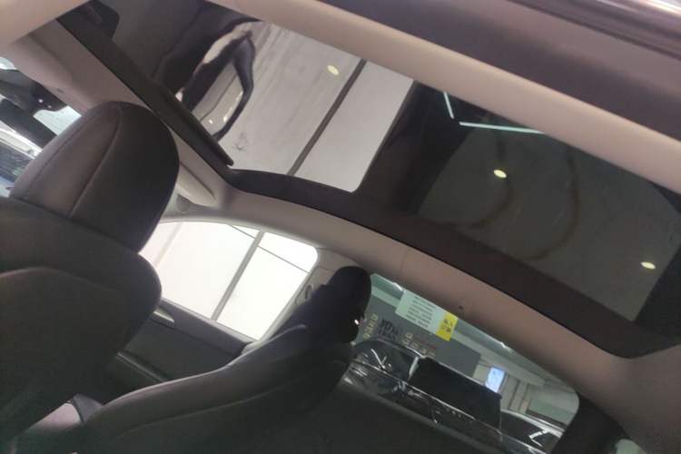 Used Tesla Model Y 2022 Rear-Wheel-Drive Version Headliner
